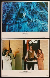 3h502 SUSPIRIA 8 LCs '77 classic Dario Argento horror, great images of scared Jessica Harper!