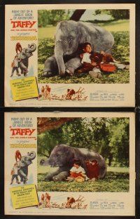 3h506 TAFFY & THE JUNGLE HUNTER 8 LCs '65 Jacques Bergerac, great images of boy with baby elephant!