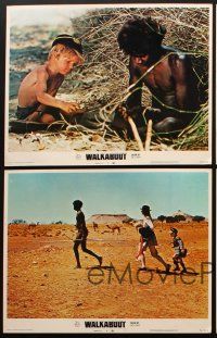 3h791 WALKABOUT 4 LCs '71 sexy Jenny Agutter in the Australian outback, Nicolas Roeg classic!