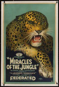 3k416 MIRACLES OF THE JUNGLE linen chapter 4 1sh '21 Selig serial, incredible leopard stone litho!