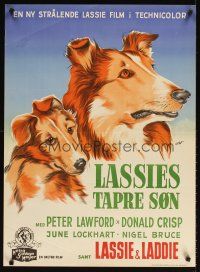 3m245 SON OF LASSIE Danish '50 best different Gaston art of classic Collie dog & her son!