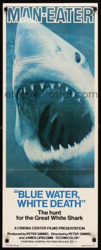 3m041 BLUE WATER, WHITE DEATH insert '71 super close image of great white shark with open mouth!