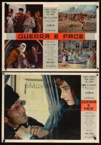 3m200 WAR & PEACE set of 16 Italian photobustas '56 Audrey Hepburn, Fonda & Mel Ferrer, Tolstoy!