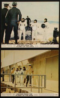 3m120 ESCAPE FROM THE PLANET OF THE APES set of 8 color 8x10 stills '71 Kim Hunter, Roddy McDowall!