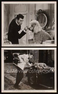 3w611 WILD & WONDERFUL 2 8x10 stills '64 c/u of Tony Curtis with Bernardo Barkalot the poodle!