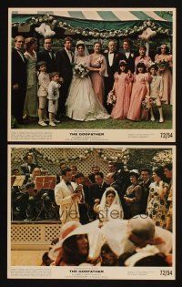 3w980 GODFATHER 2 color 8x10 stills '72 Marlon Brandon, Al Pacino, Coppola classic, wedding scenes!