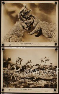 3w139 ANIMAL WORLD 8 8x10 stills '56 Harryhausen, wonderful dinosaur special fx scenes + comic art!