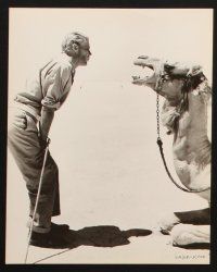 3w282 LAWRENCE OF ARABIA 6 7.5x9.25 stills '63 Peter O'Toole, cool candids with David Lean!