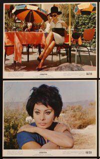 3w625 JUDITH 12 color 8x10 stills '66 Daniel Mann directed, sexiest Sophia Loren & Peter Finch!