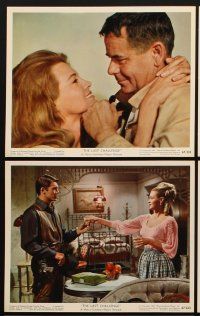 3w806 LAST CHALLENGE 8 color 8x10 stills '67 Glenn Ford & sexy Angie Dickinson + gambling scene!
