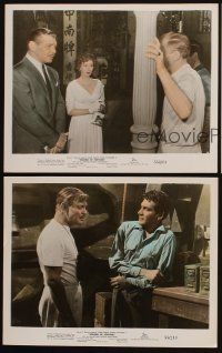 3w970 SOLDIER OF FORTUNE 3 color 8x10 stills '55 Clark Gable, sexy Susan Hayward, Michael Rennie
