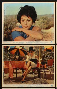 3w762 JUDITH 8 color English FOH LCs '66 sexy Sophia Loren & Peter Finch, directed by Daniel Mann!