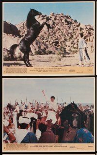 3w683 BLACK STALLION RETURNS 8 8x10 mini LCs '83 from the horse novel by Walter Farley!