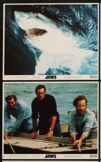 3w742 JAWS 8 8x10 mini LCs '75 Spielberg shark classic, Roy Scheider, Robert Shaw, Richard Dreyfuss