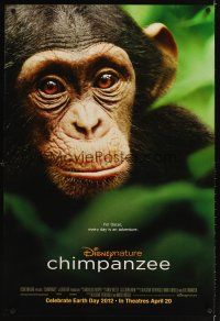 3z136 CHIMPANZEE advance DS 1sh 2012 great image of really cute ape!!