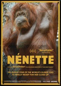 3z549 NENETTE 1sh '10 cool image of orangutan, oldest star of the world's oldest zoo!
