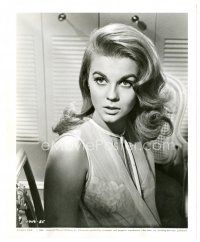 4b102 ANN-MARGRET 8x10 still '64 sexy head & shoulders close up from Bus Riley's Back in Town!