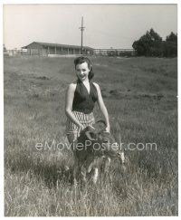 4b183 CHARLOTTE AUSTIN 8x10 still '50s great smiling close up in field with a calf on a farm!