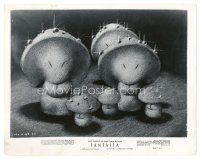 4b279 FANTASIA 8x10 still 1942 Disney classic musical cartoon, great artwork of cute mushrooms!