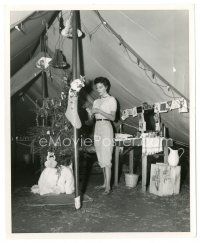 4b621 MOGAMBO candid 8x10 still '53 close up of Ava Gardner decorating her tent for Christmas!