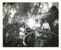 4b638 NATIONAL VELVET candid 8x10 still '44 Elizabeth Taylor 9 years old in tree w/brother & friend