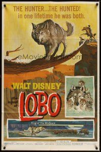 4c541 LEGEND OF LOBO 1sh '63 Walt Disney, King of the Wolfpack, cool artwork of wolf being hunted!