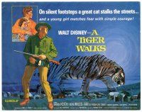4d160 TIGER WALKS TC '64 Disney, artwork of Brian Keith standing by huge prowling tiger!