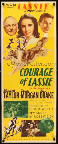 4g247 COURAGE OF LASSIE insert '46 artwork of Elizabeth Taylor with famous canine!