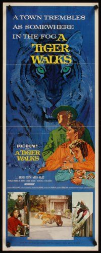 4g691 TIGER WALKS insert '64 Walt Disney, art of Brian Keith & huge prowling tiger!