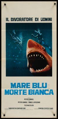 4g056 BLUE WATER, WHITE DEATH red shark Italian locandina '71 image of great white shark!