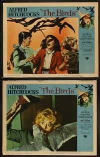 4h090 BIRDS 8 LCs '63 Alfred Hitchcock classic starring Tippi Hedren & Rod Taylor!