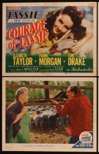 4h158 COURAGE OF LASSIE 8 LCs '46 great images of Elizabeth Taylor & the famous canine star!