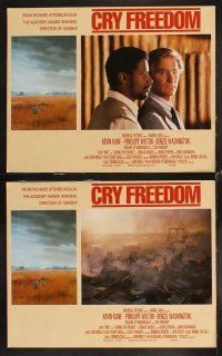 4h164 CRY FREEDOM 8 LCs '87 Kevin Kline, Denzel Washington, directed by Richard Attenborough!