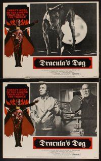 4h204 DRACULA'S DOG 8 LCs '78 Albert Band, wild images of the Count and his vampire canine!