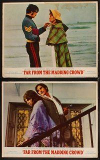 4h236 FAR FROM THE MADDING CROWD 8 LCs '68 Julie Christie, Terence Stamp, Peter Finch!