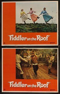 4h244 FIDDLER ON THE ROOF 8 LCs '71 Topol, Norma Crane, Leonard Frey, directed by Norman Jewison!
