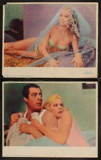 4h849 KISS THE OTHER SHEIK 7 LCs '68 Marcello Mastroianni & sexiest Pamela Tiffin!