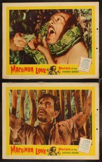 4h852 MACUMBA LOVE 7 LCs '60 weird, shocking savagery in native jungle haunts the voodoo queen!