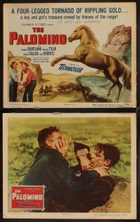 4h513 PALOMINO 8 LCs '50 Jerome Courtland, Beverly Tyler, Joseph Calleia, great horse images!