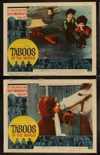 4h686 TABOOS OF THE WORLD 8 LCs '65 I Tabu, AIP, it's the picture that OUT-MONDO's them all!