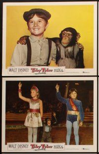 4h904 TOBY TYLER 6 LCs '60 Walt Disney, Kevin Corcoran, Mister Stubbs the chimpanzee, circus!