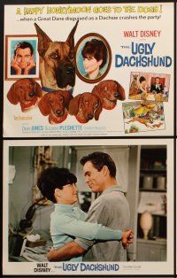 4h029 UGLY DACHSHUND 9 LCs '66 Walt Disney, Dean Jones & Suzanne Pleshette + cute dogs!