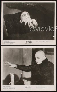 4p867 NOSFERATU THE VAMPYRE 3 8x10 stills '79 great images of vampire Klaus Kinski!