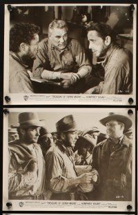 4p582 TREASURE OF THE SIERRA MADRE 8 8x10 stills R53 Humphrey Bogart, Tim Holt & Walter Huston!