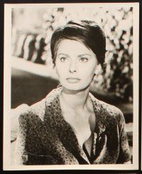 4p480 TWO WOMEN 10 8x10 stills '62 Vittorio De Sica's La Ciociara, Sophia Loren