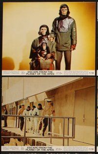 4p066 ESCAPE FROM THE PLANET OF THE APES 8 color 8x10 stills '71 Kim Hunter, McDowall, Montalban!