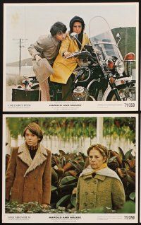 4p001 HAROLD & MAUDE 10 color Swiss 8x10 stills '71 Ruth Gordon & Bud Cort, Hal Ashby classic!