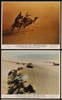4p007 LAWRENCE OF ARABIA 12 color 8x10 stills R71 David Lean classic starring Peter O'Toole!