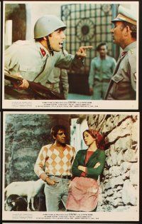 4p175 SERAFINO 7 color 8x10 stills '70 Pitro Germi, Adriano Celentano in the title role!