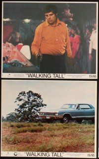 4p164 WALKING TALL 8 8x10 mini LCs '73 Joe Don Baker as Buford Pusser, classic!